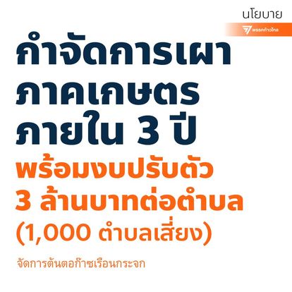 นโยบาย 300